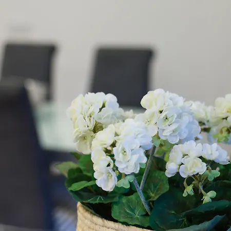 Abegorias Apartament